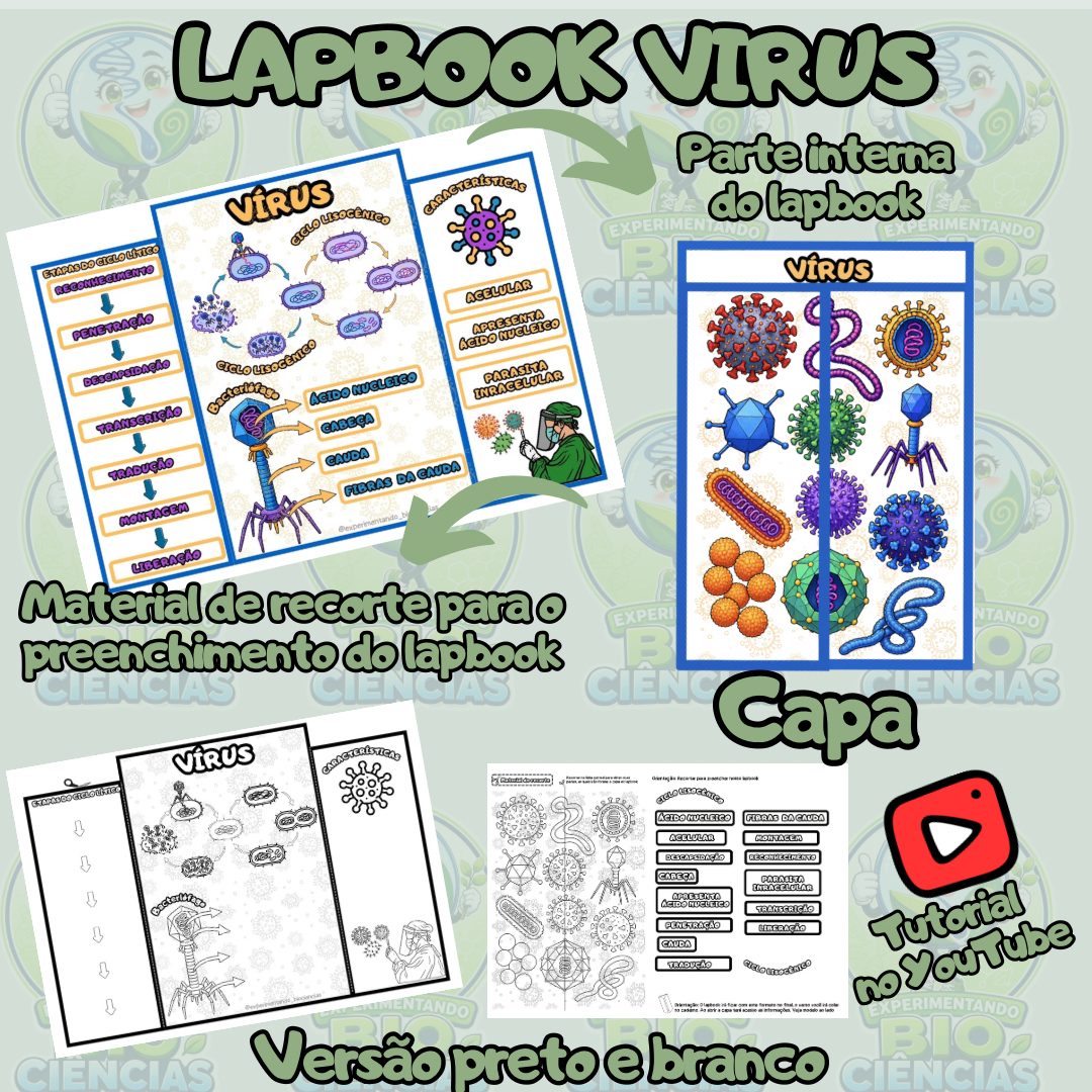 04-Lapbook Vírus