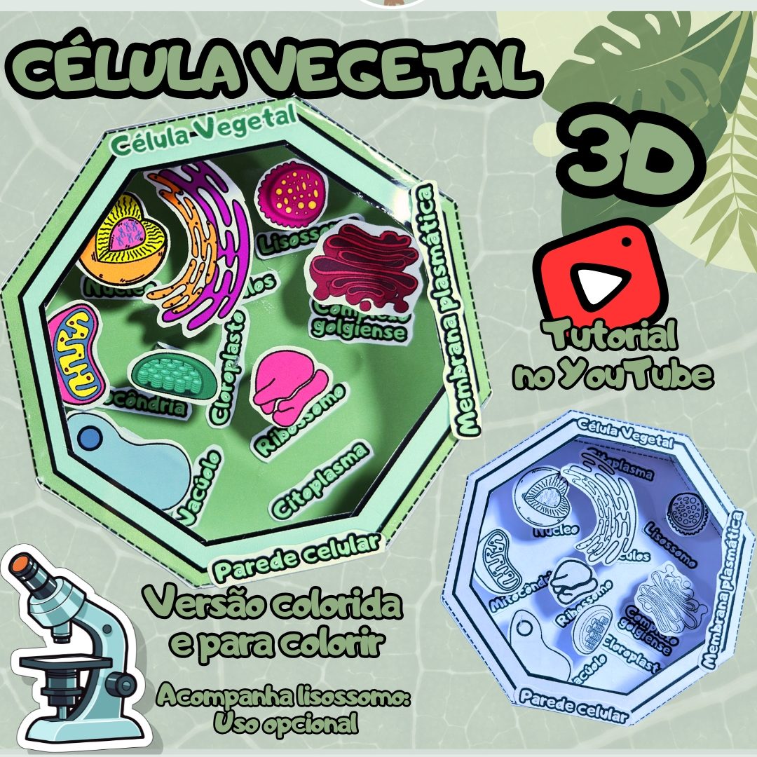 70-Célula vegetal 3D (1 página)