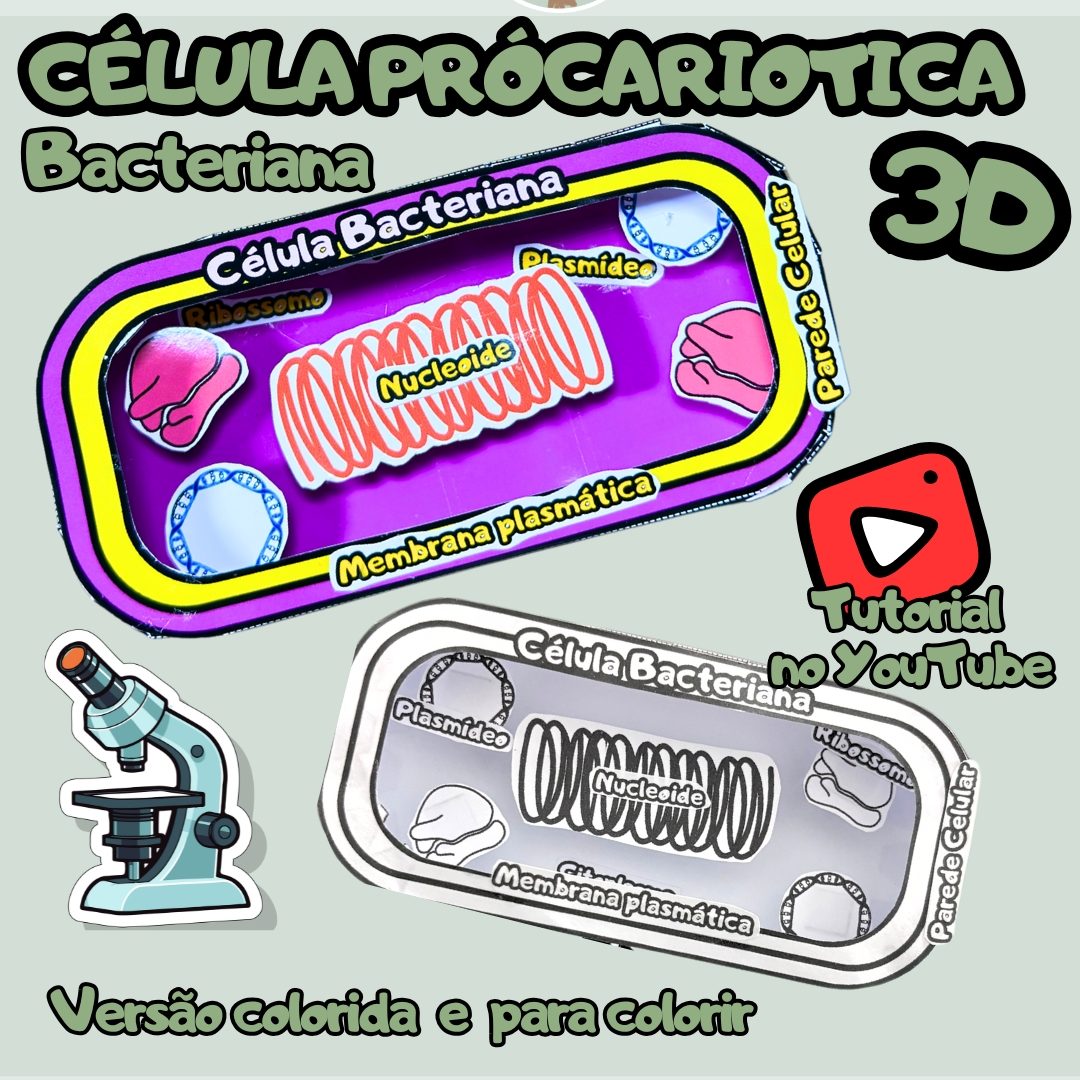 85-Célula bacteriana 3D