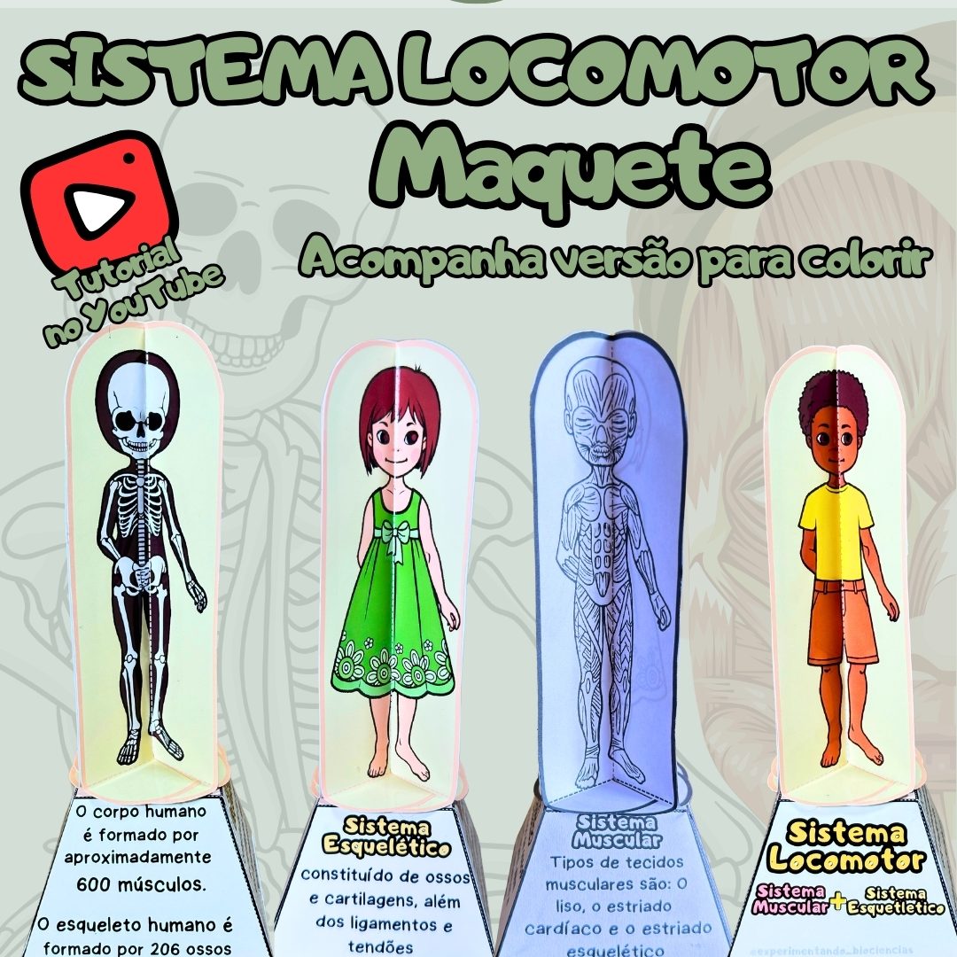 53-Sistema Locomotor
