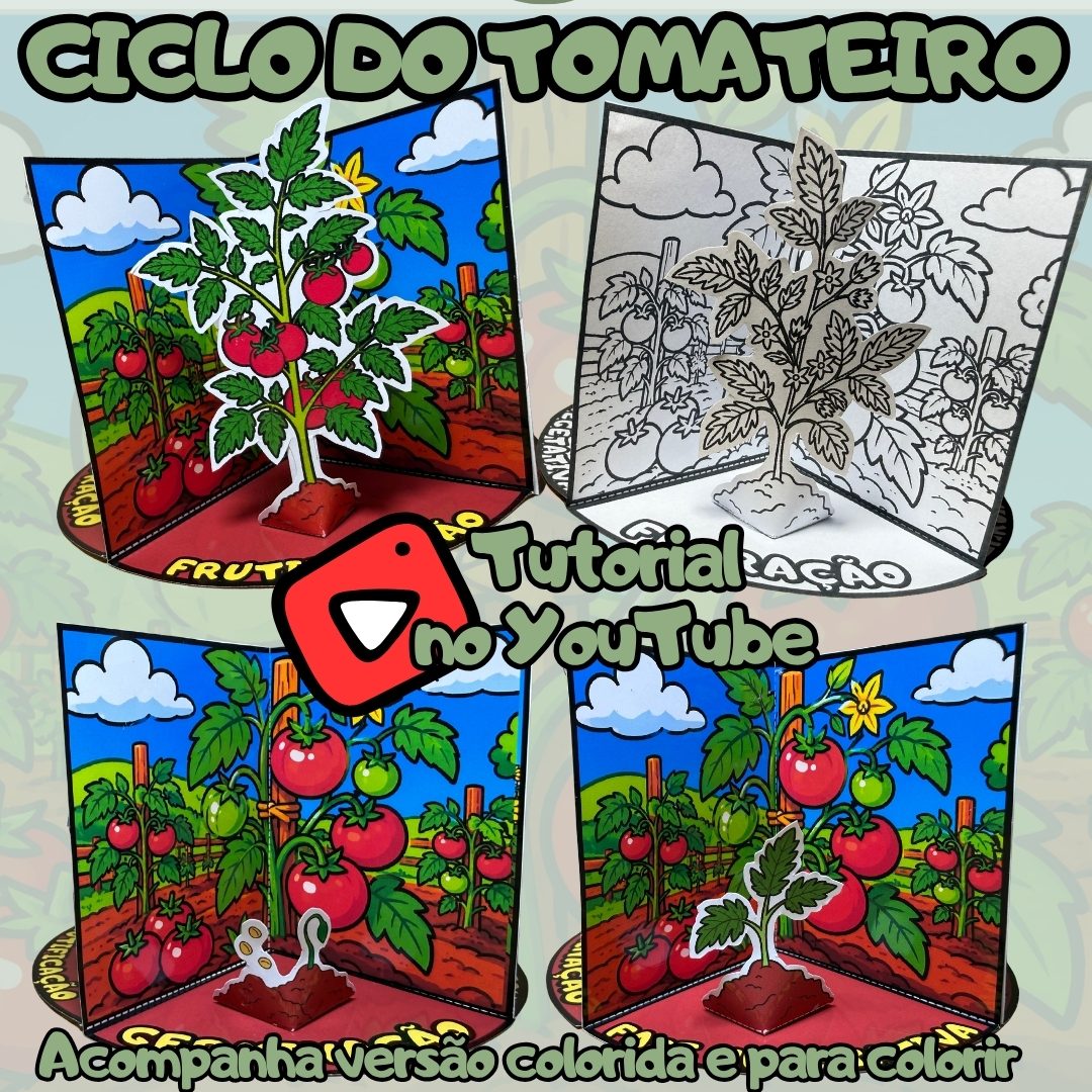 79-Ciclo do tomateiro 3D