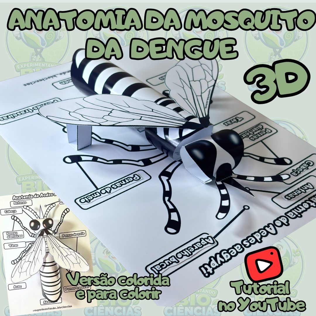 86-Mosquito da dengue 3D