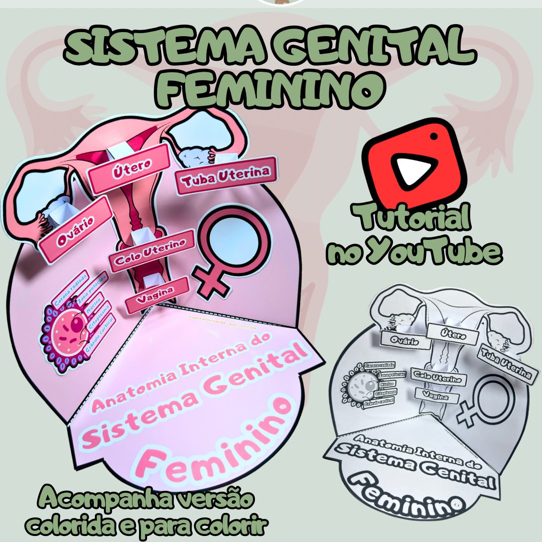 95-Sistema genital feminino 3D