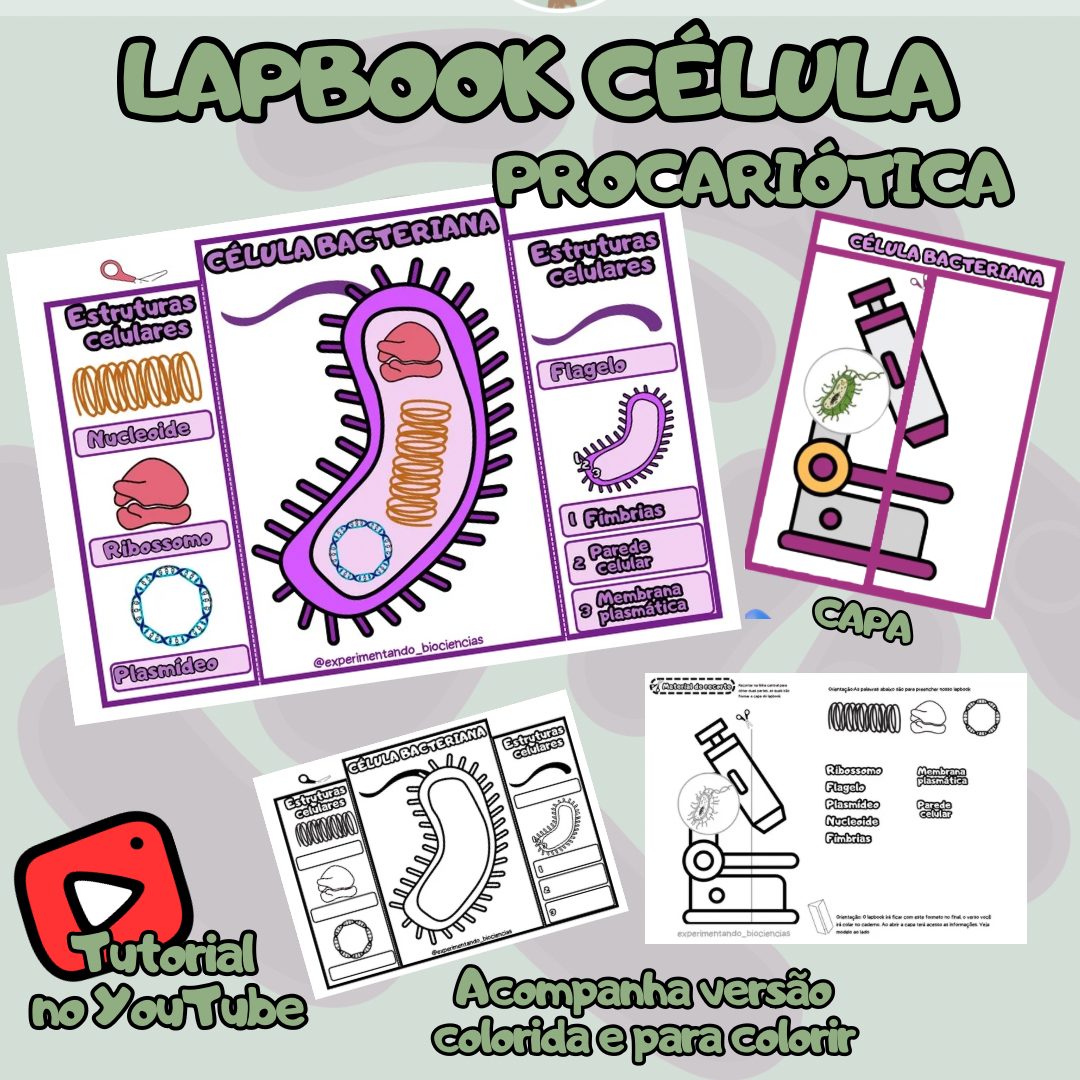124-Lapbook célula bacteriana