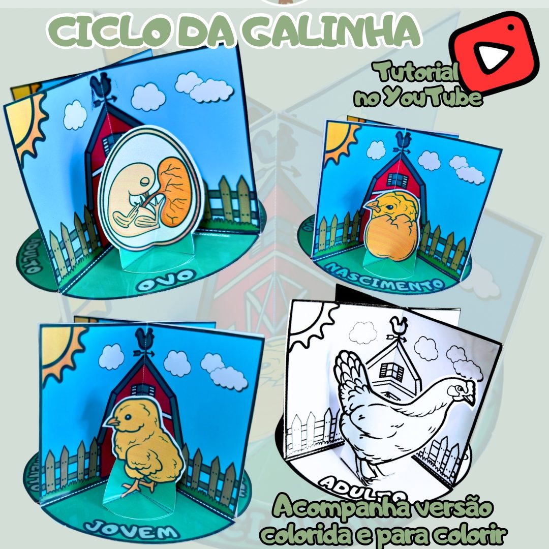 47-Ciclo da galinha 3D