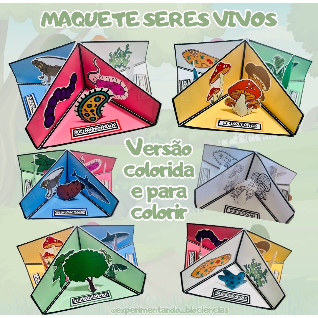 120-Maquete seres vivos