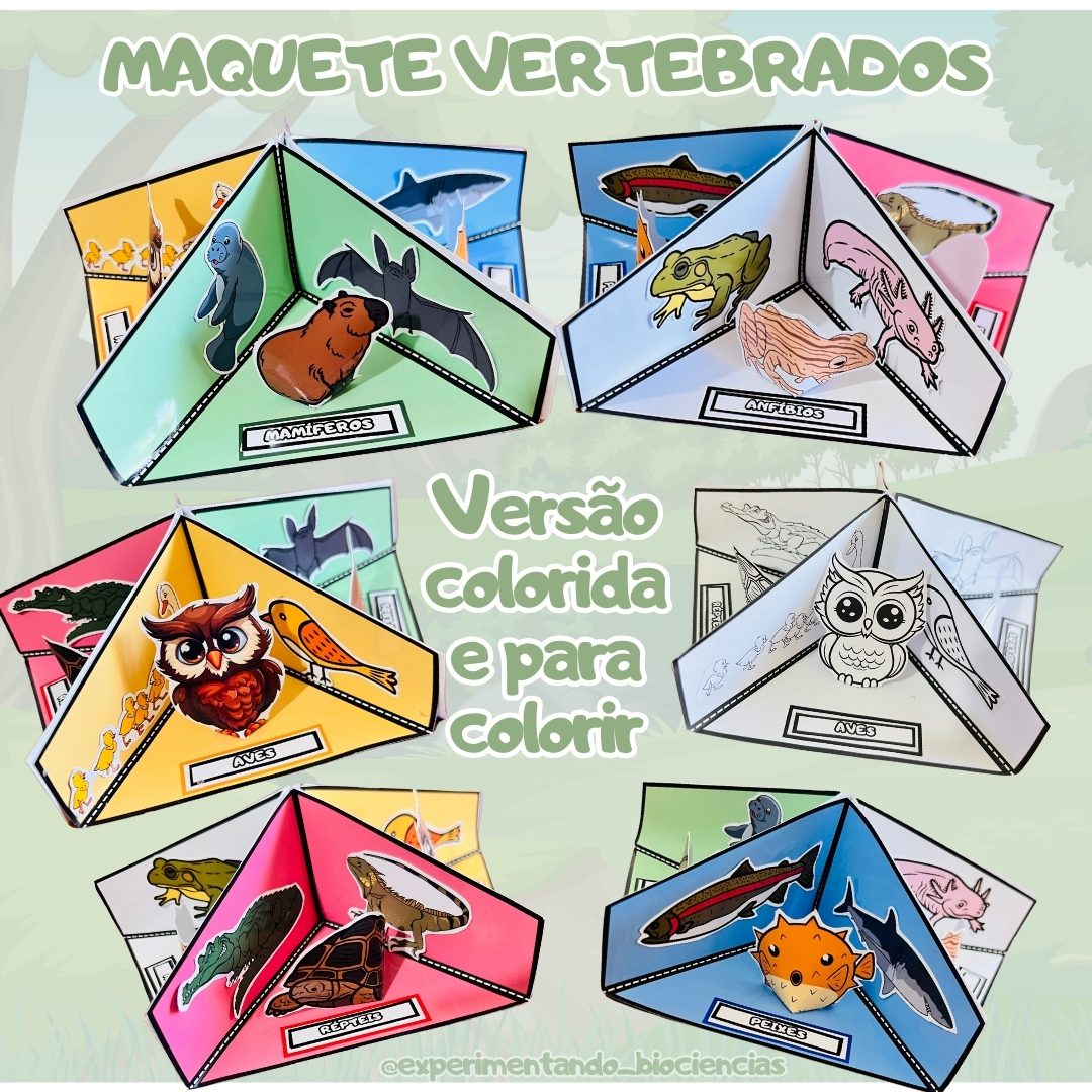 121-Maquete vertebrados 3D