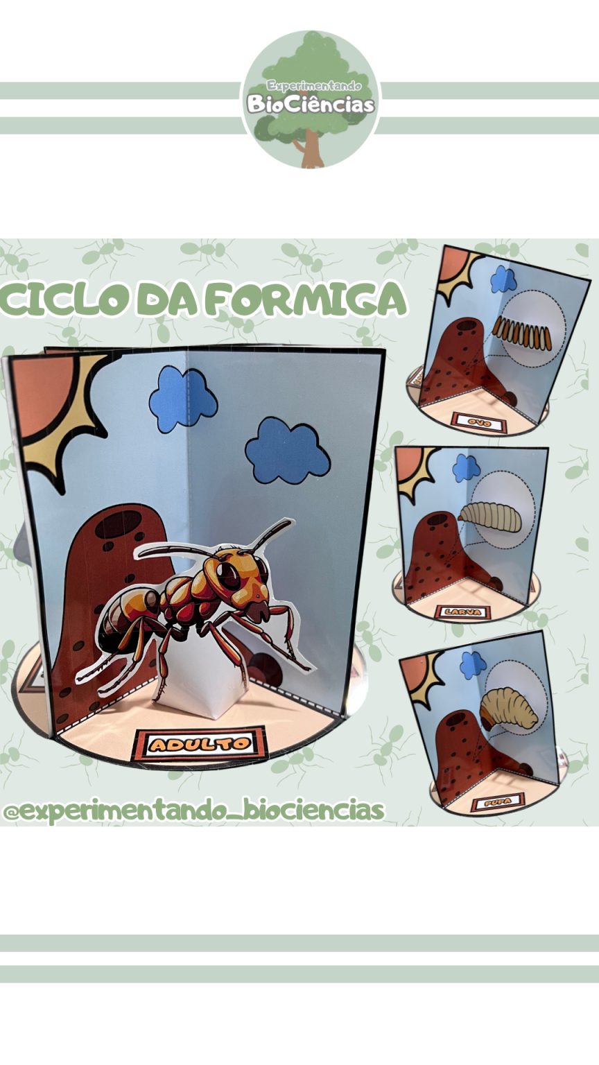 34-Ciclo de vida da formiga 3D – Experimentando BioCiências