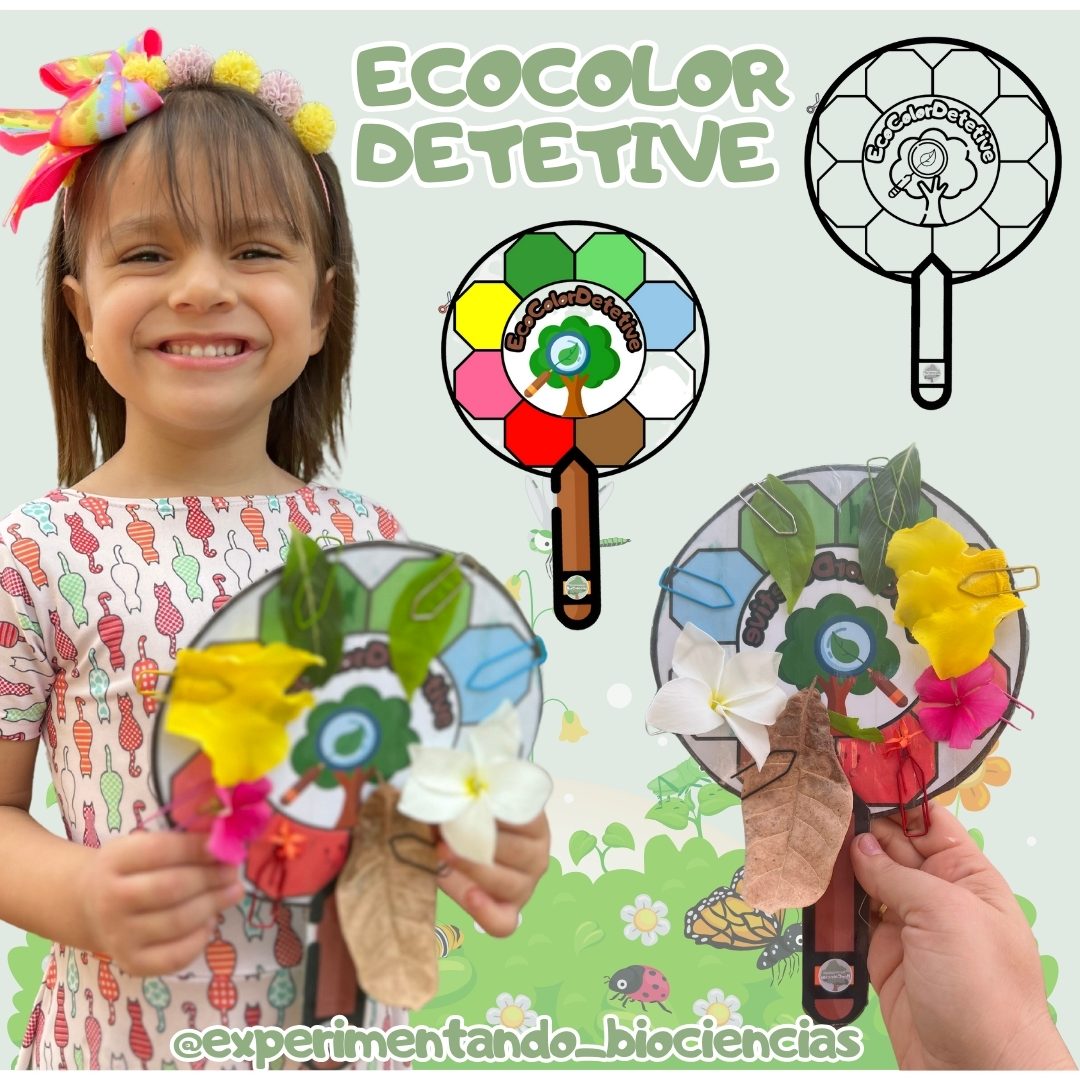 41-EcoColorDetetive