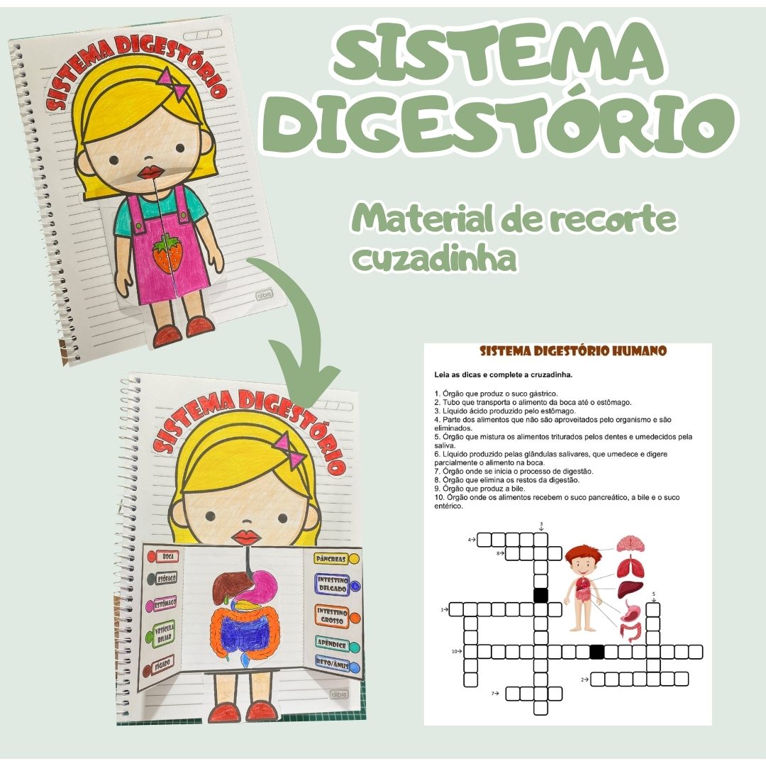 66-Sistema digestório lapbook