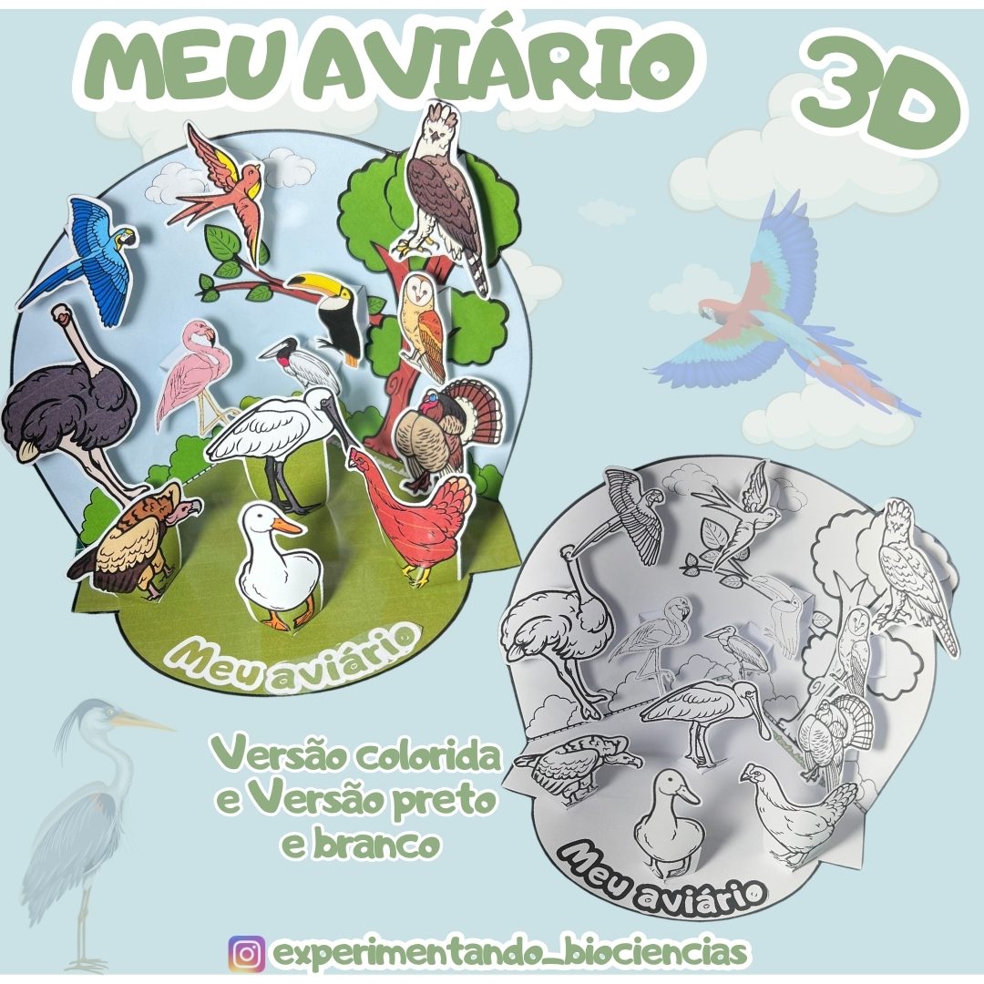 67-Meu aviário 3D