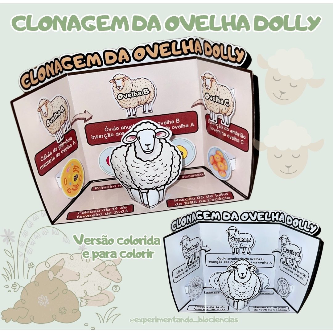 80-Clonagem ovelha Dolly 3D