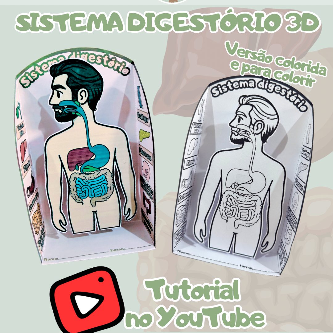 125-Sistema Digestório 3D