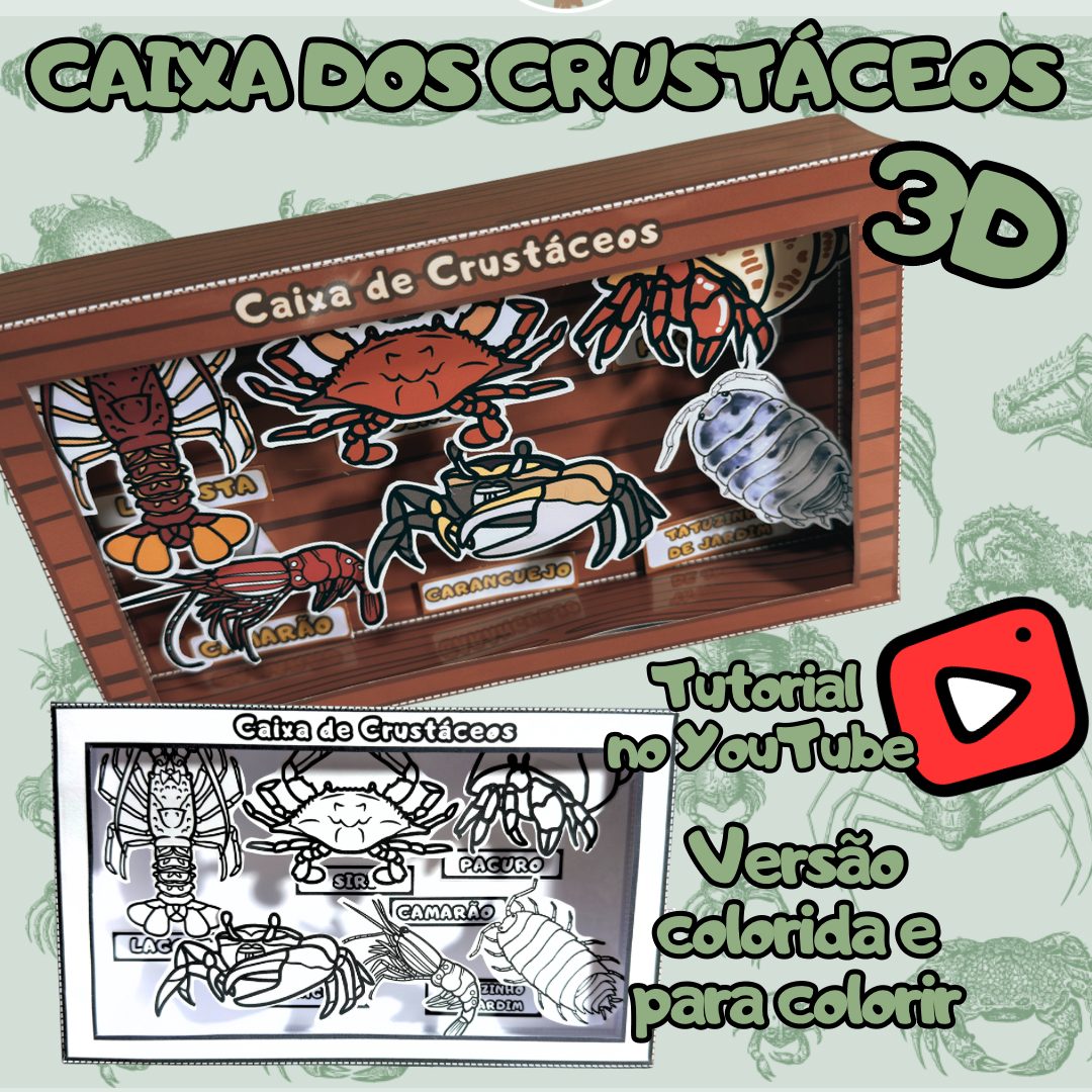 101-Caixa dos crustáceos 3D