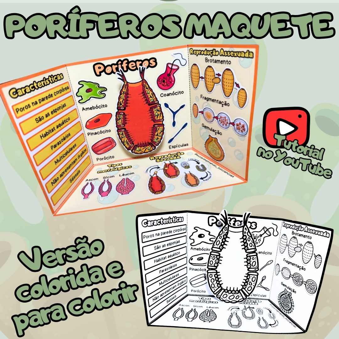 158-Maquete Poríferos