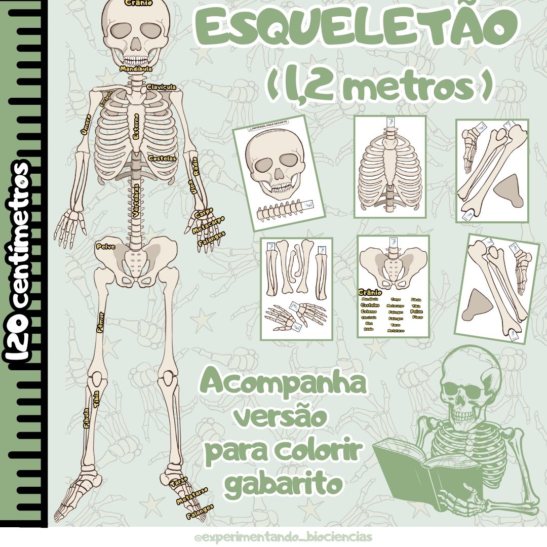 167-Esqueletão 1,2 metros