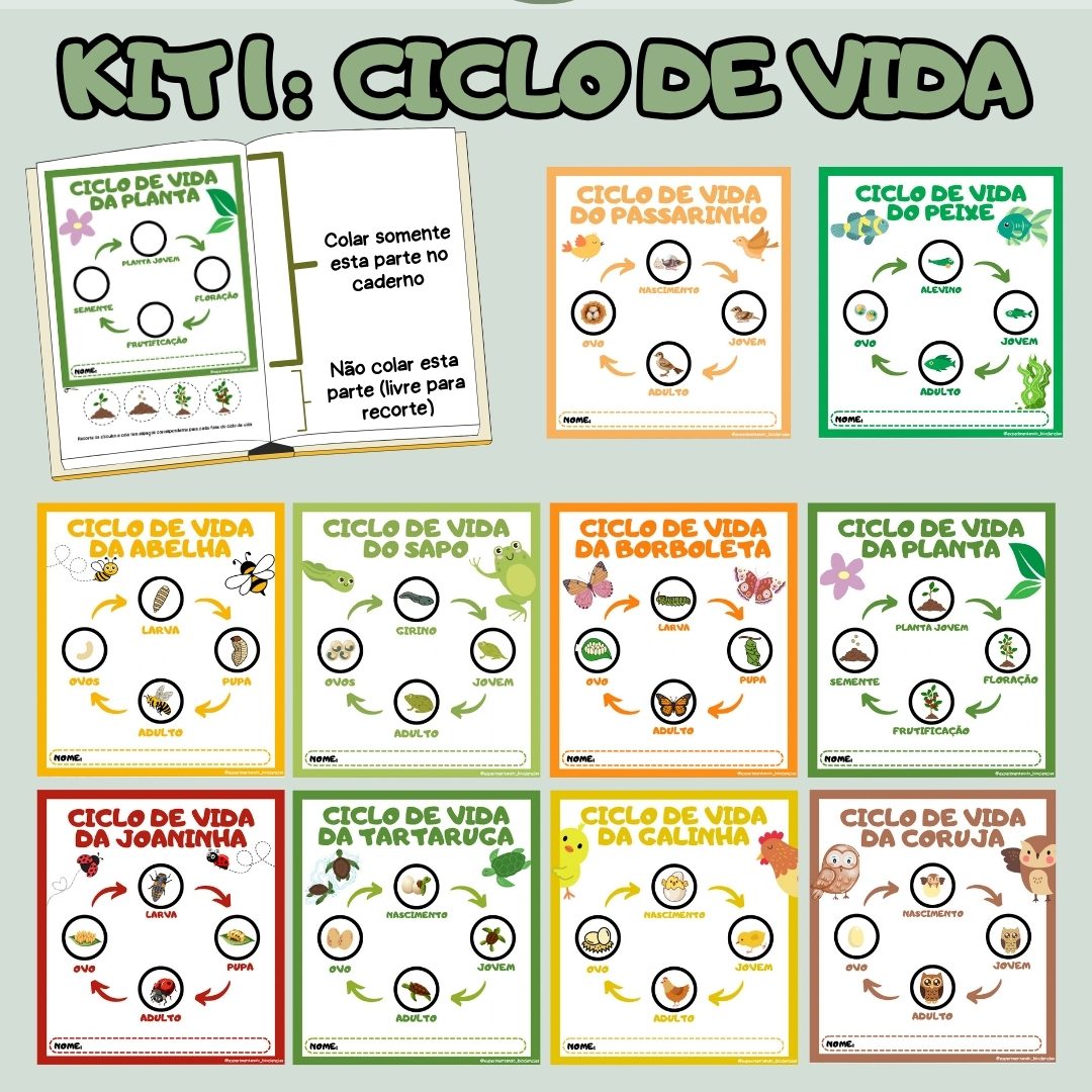 176-Kit 1: Ciclo de vida