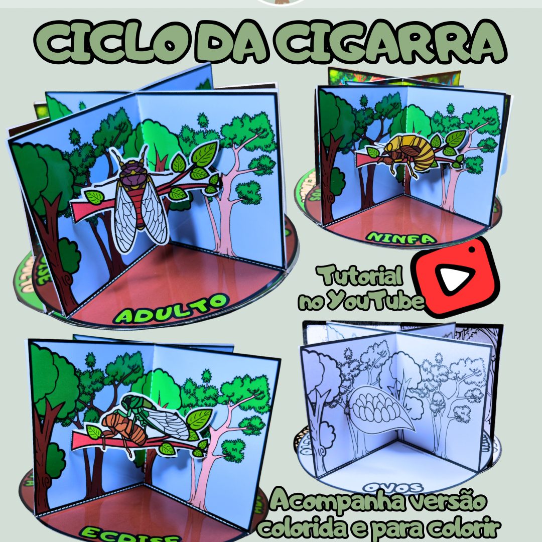 197-Ciclo de vida da cigarra 3D