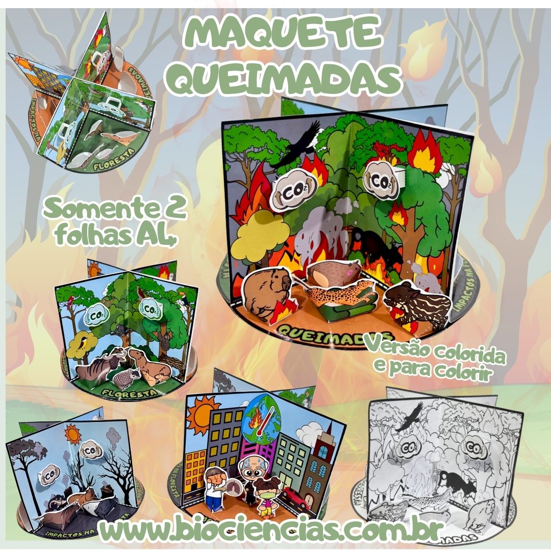 191-Queimadas