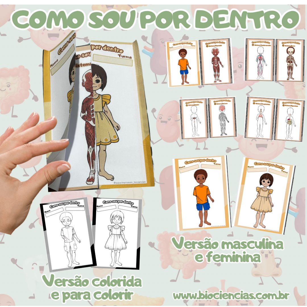 198-Como sou por dentro