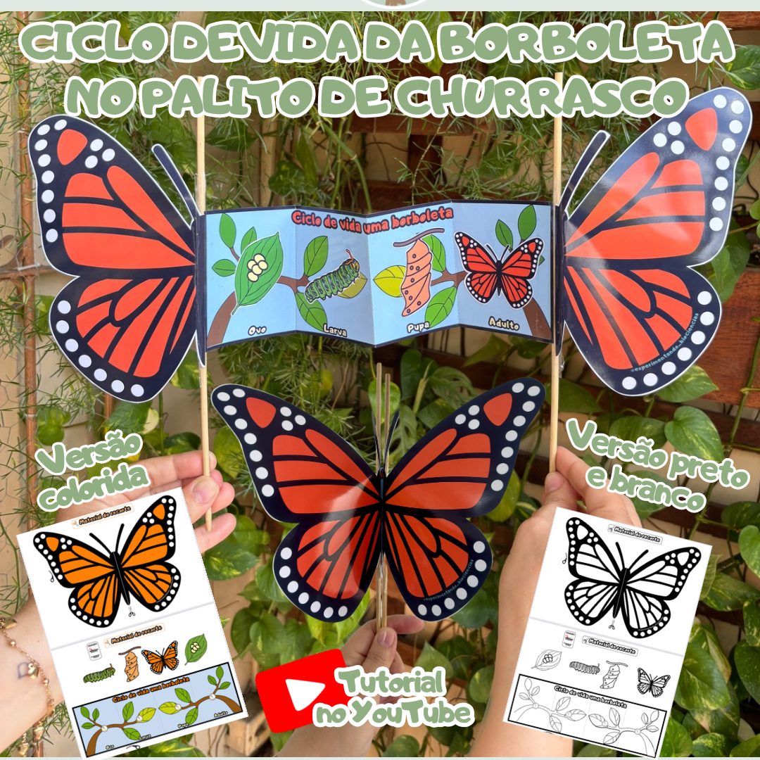 212-Ciclo de vida da borboleta no palito de churrasco