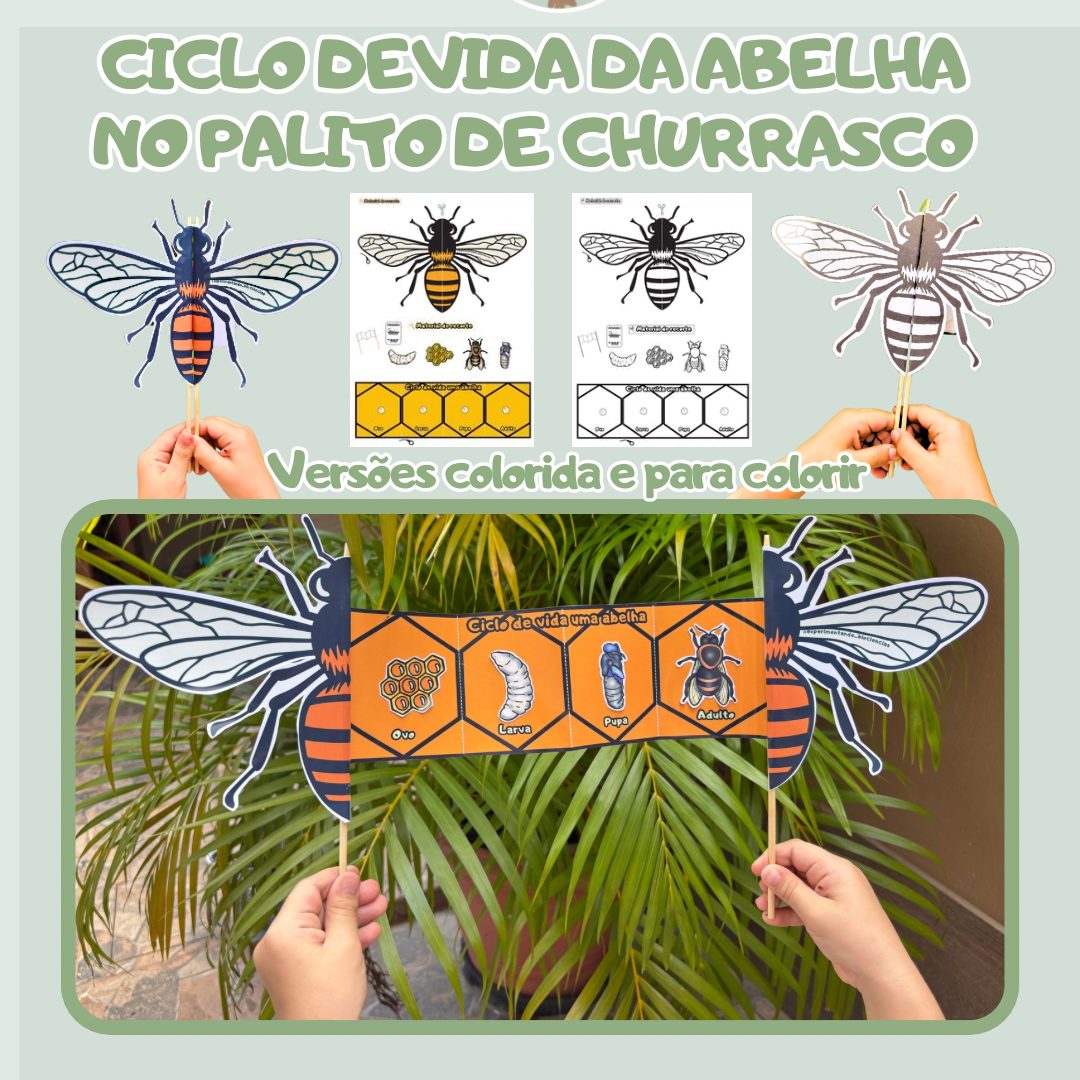 219-Ciclo de vida da abelha no palito de churrasco
