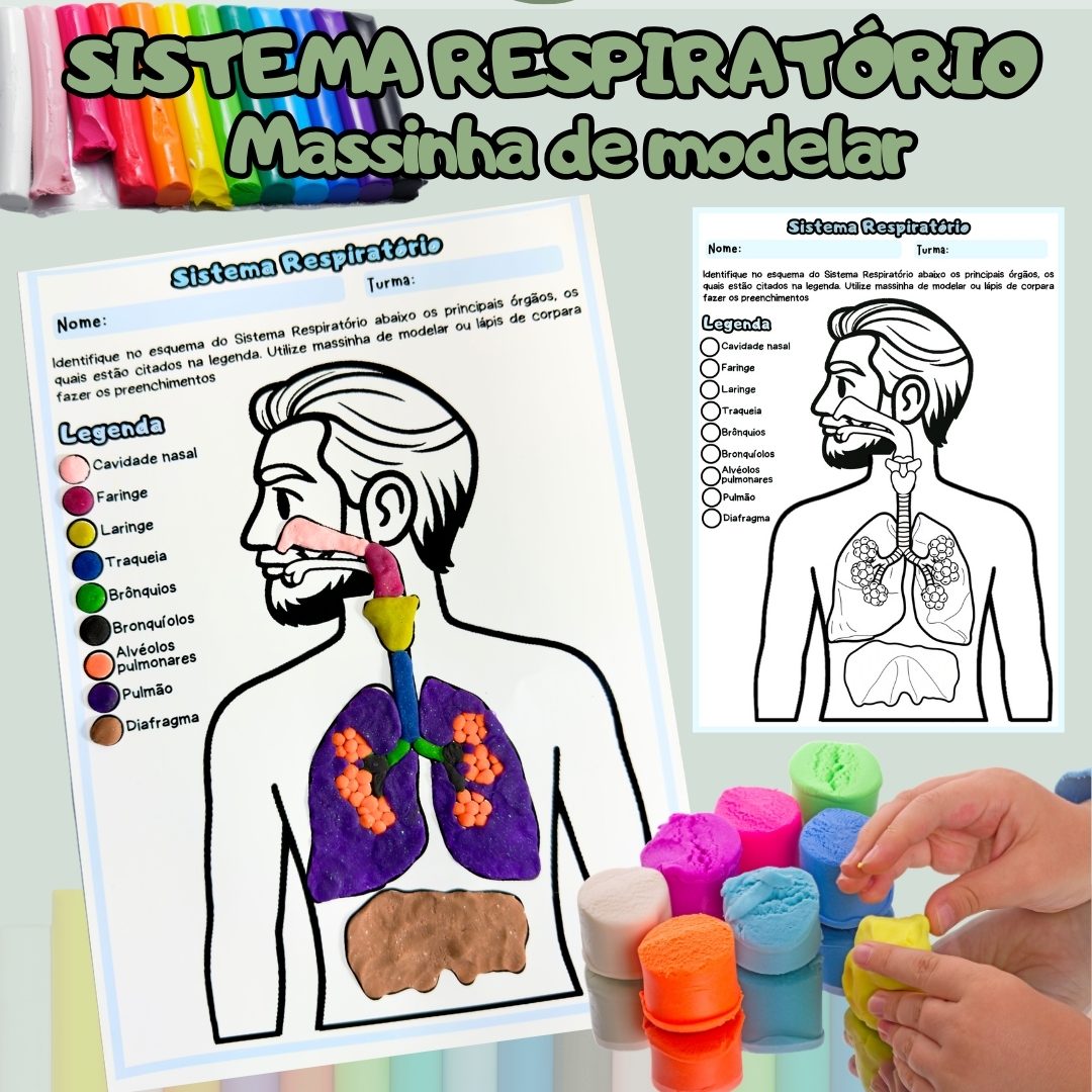 218-Sistema Respiratório (Massinha modelar)