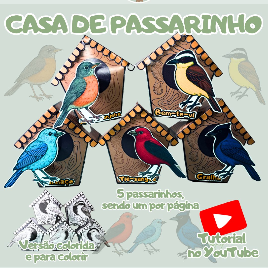 225-Casa de passarinho