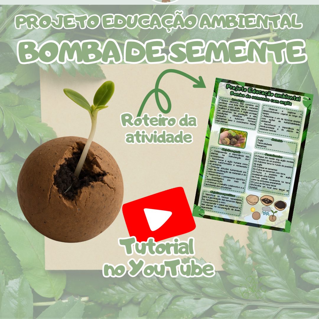 227-Bomba de semente com argila