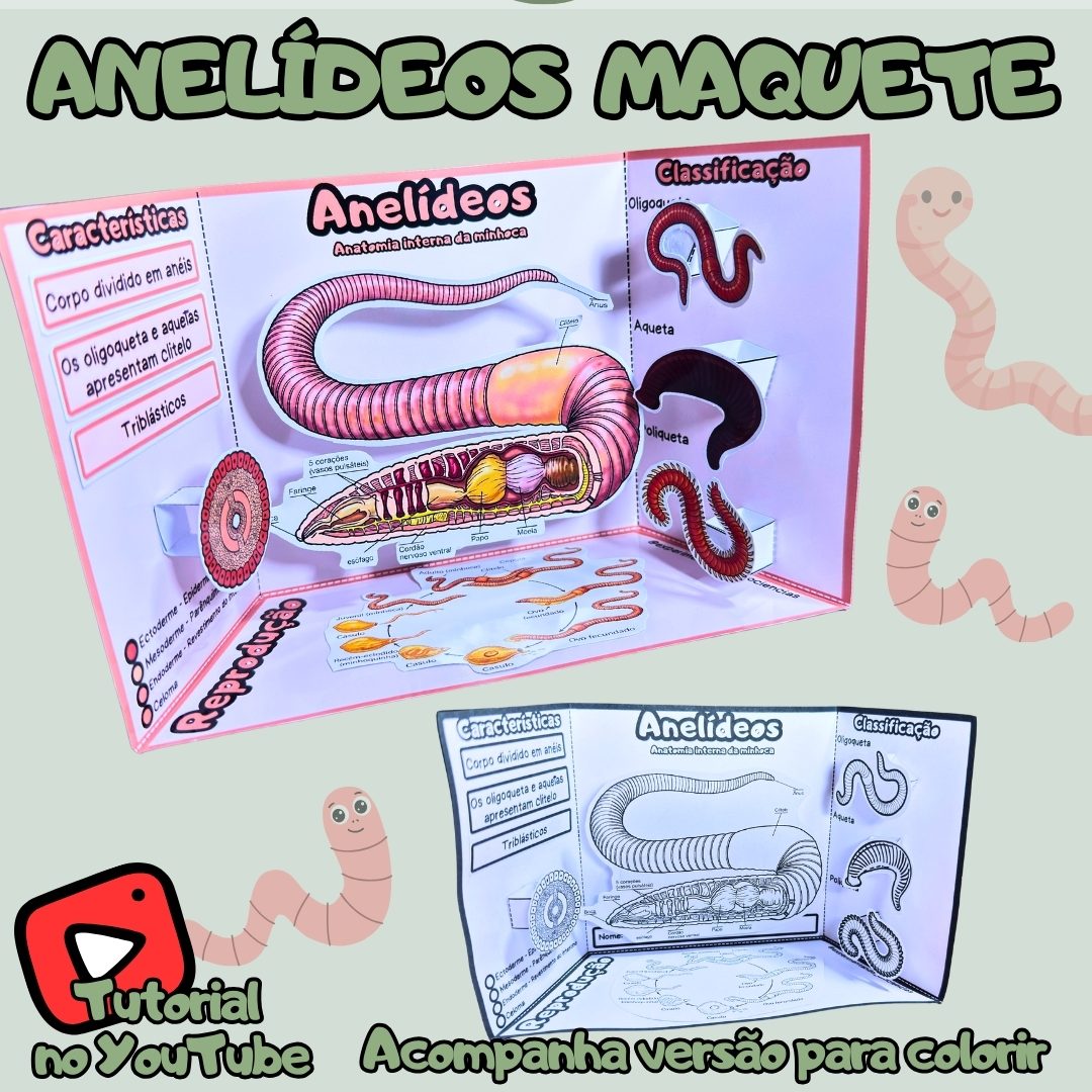296-Anelídeos maquete