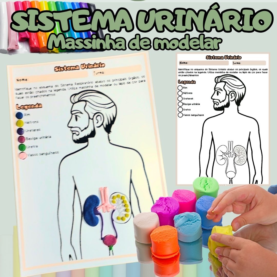 299-Sistema urinário massinha de modelar