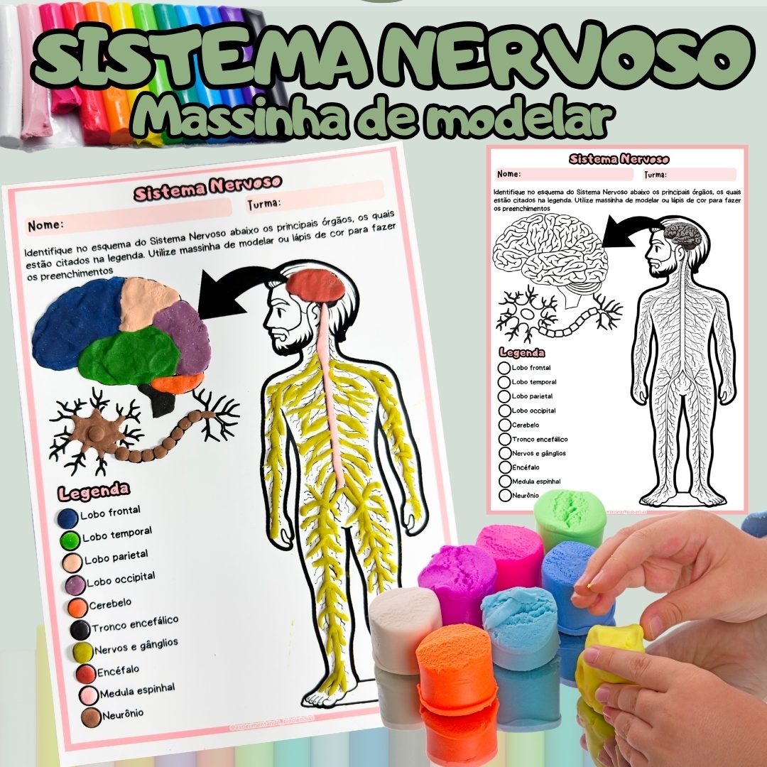301-Sistema nervoso massinha de modelar