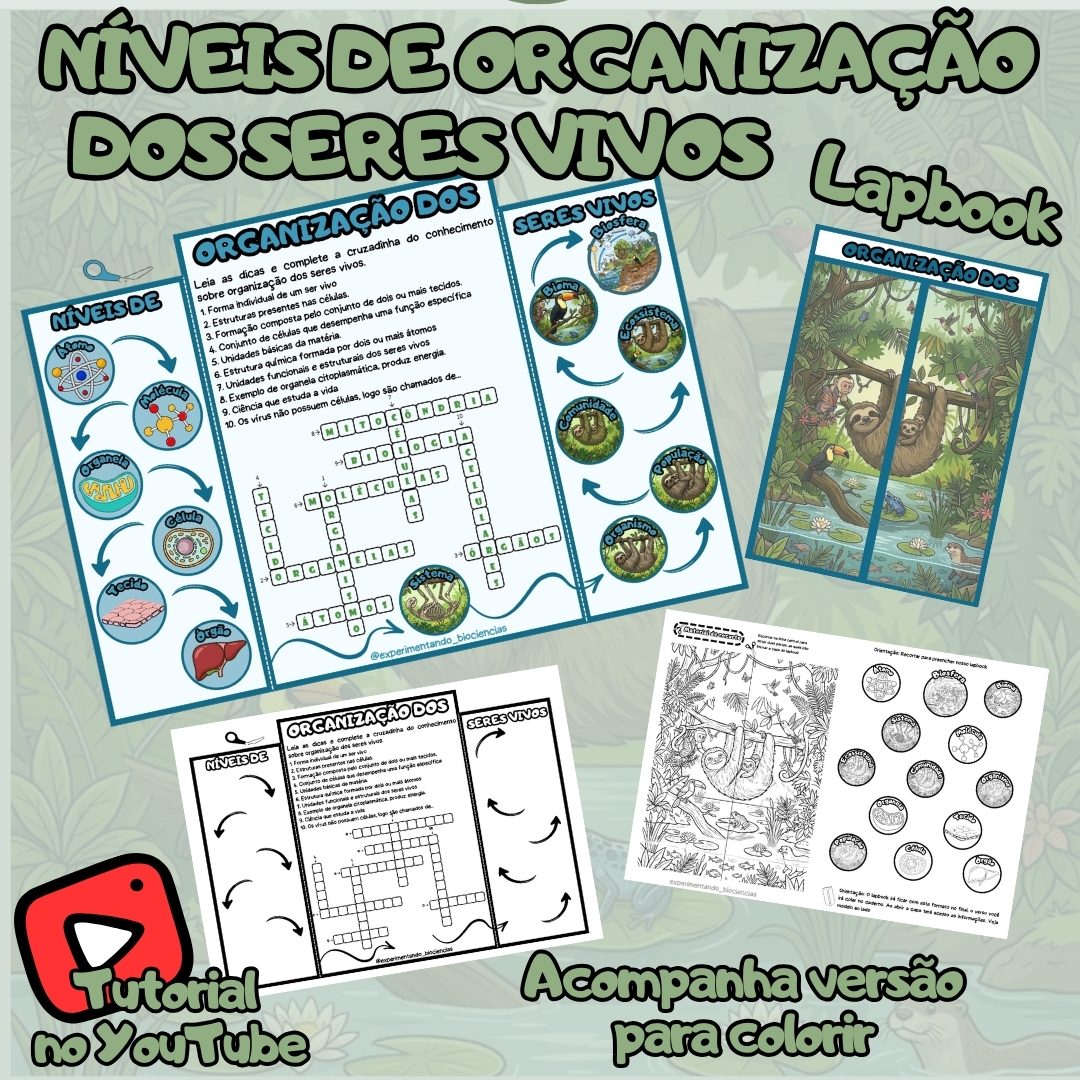 302-Níveis de organização dos seres vivos lapbook