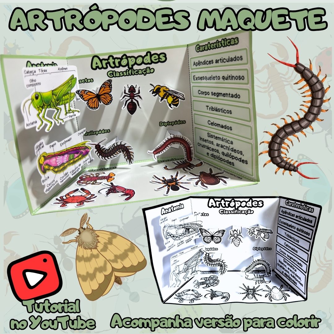303-Artrópodes maquete
