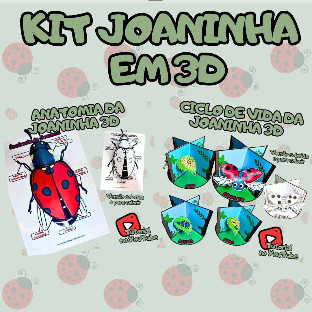 Kit 17: Joaninha 3D