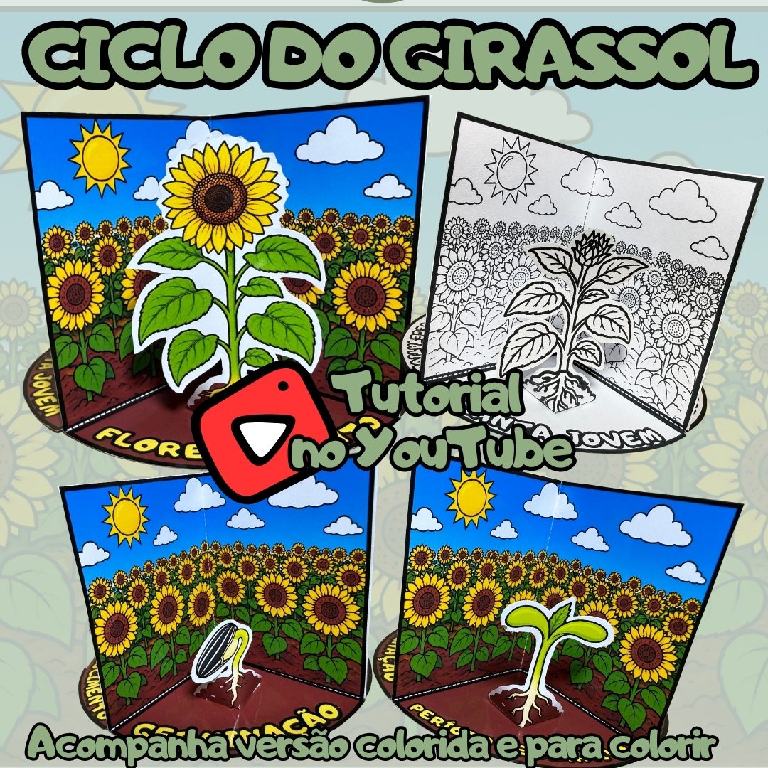 318-Ciclo do girassol