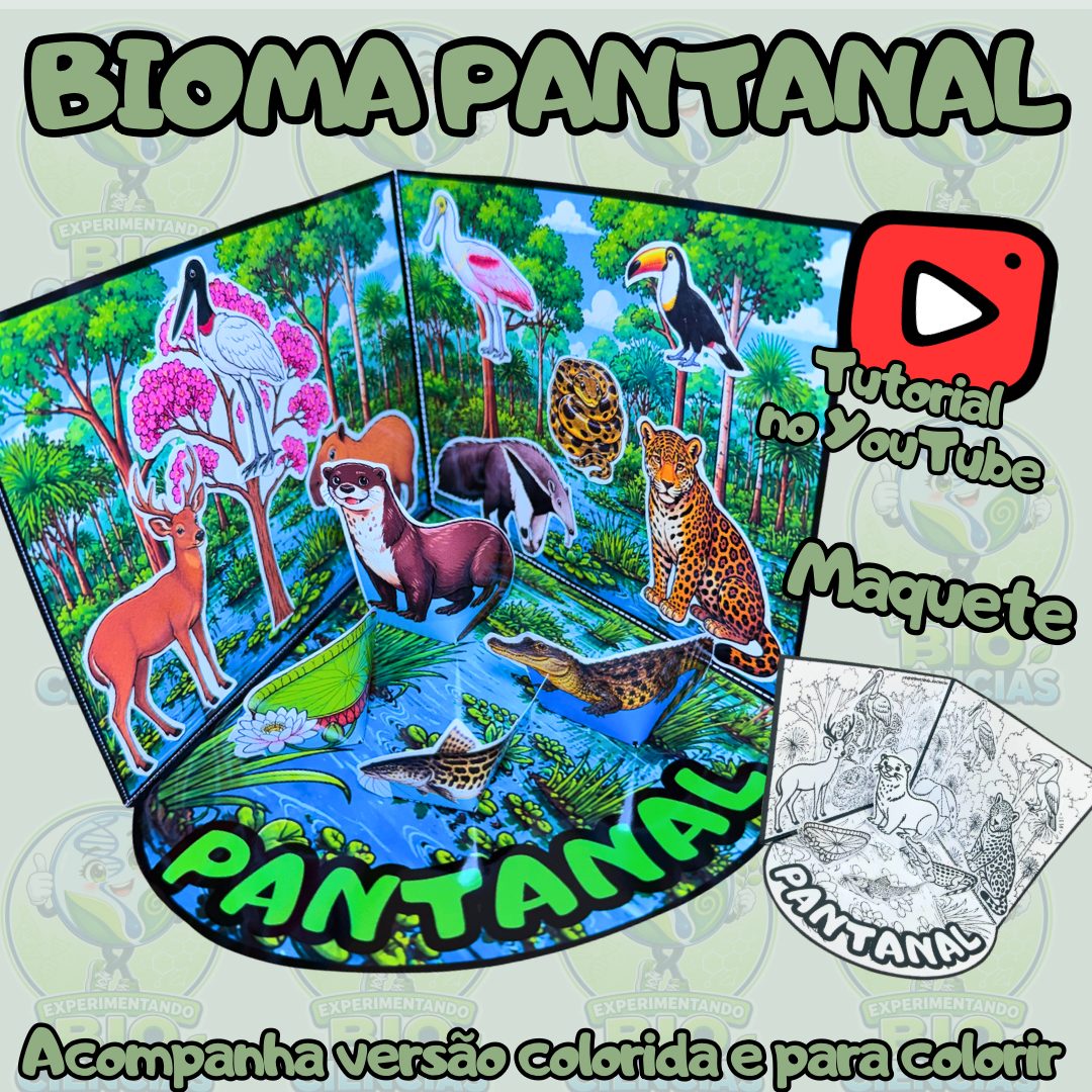 323-Bioma Pantanal maquete