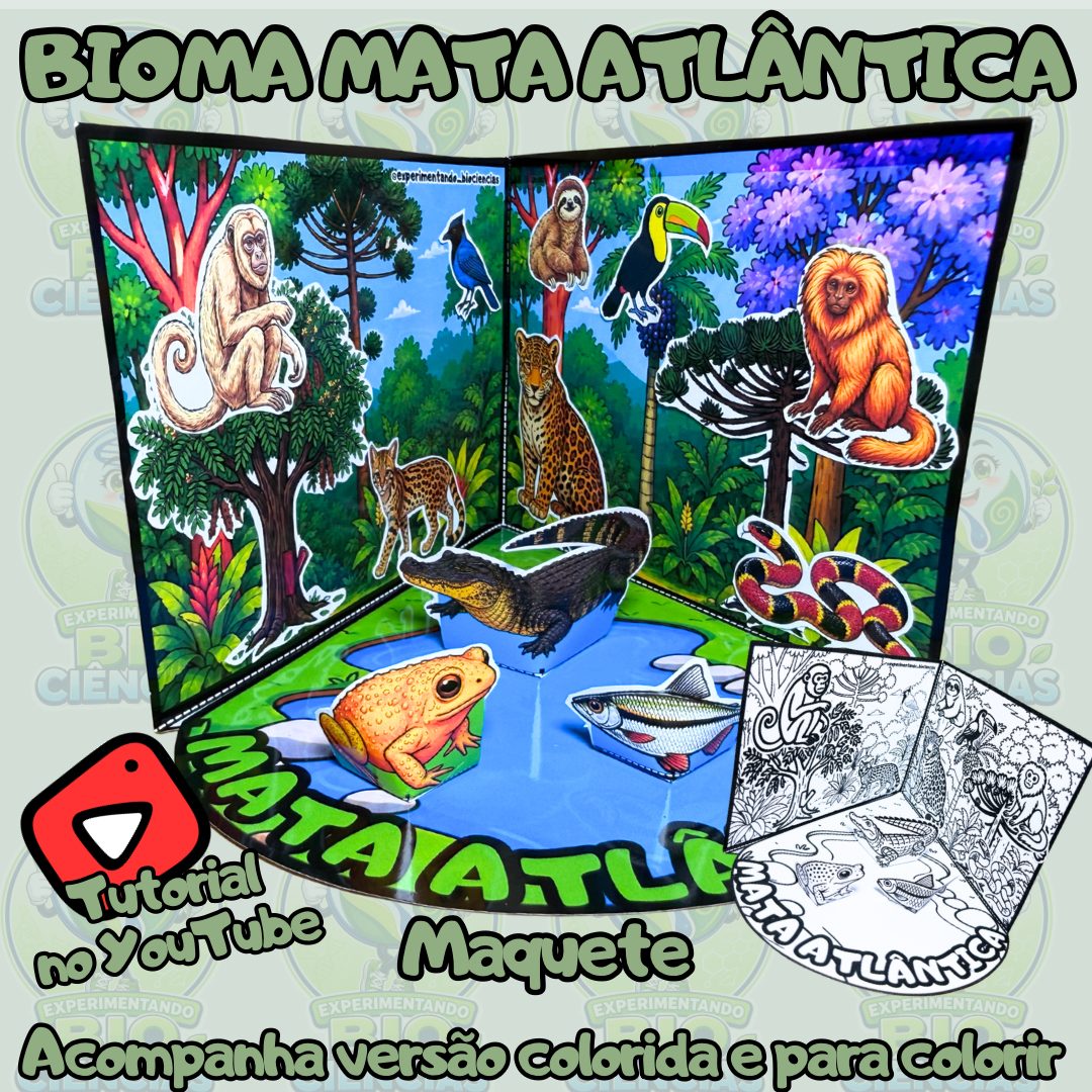 322-Bioma Mata Atlântica maquete