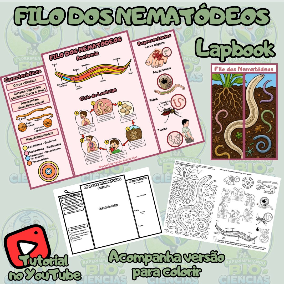 326-Lapbook Nematódeos