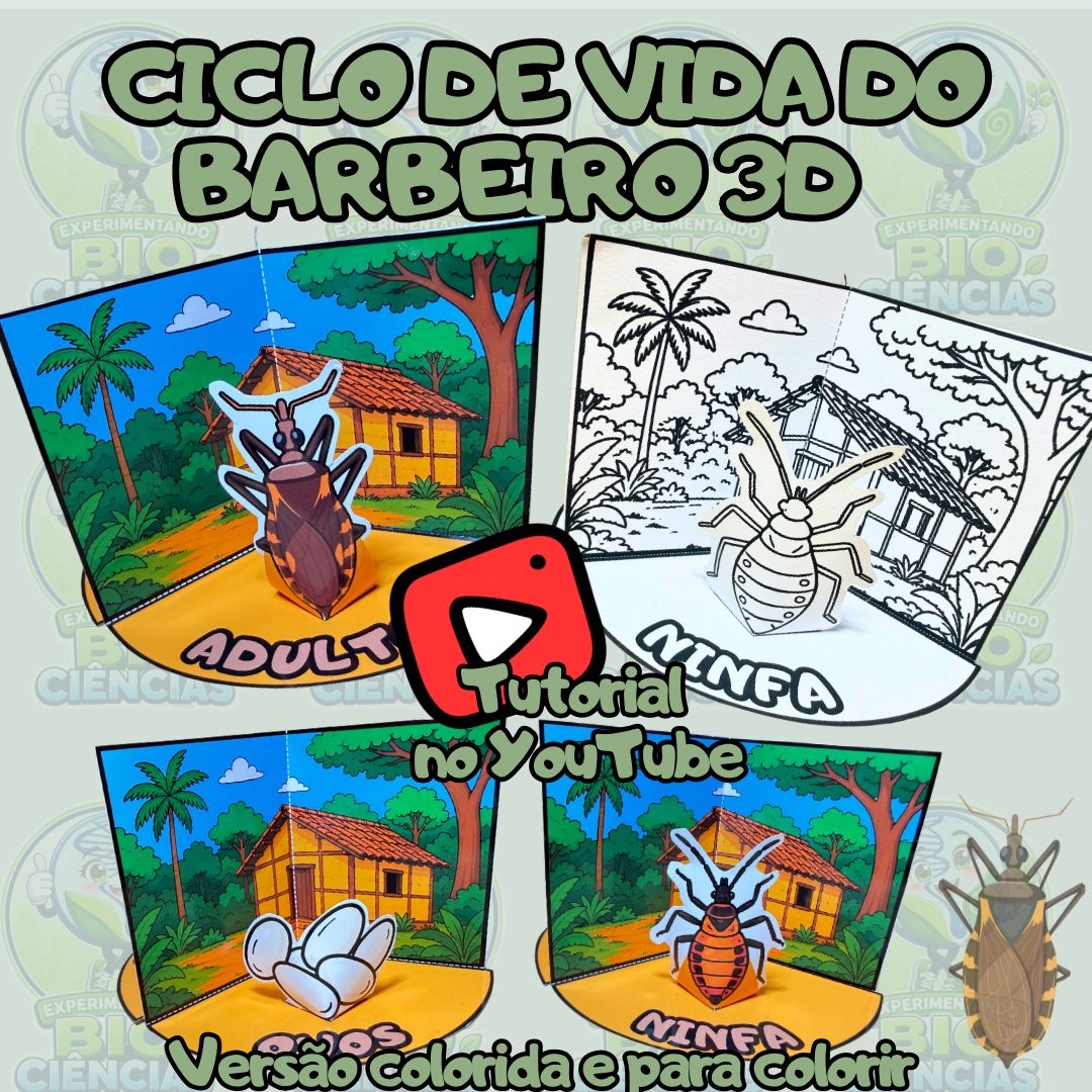 327-Ciclo de vida do barbeiro maquete