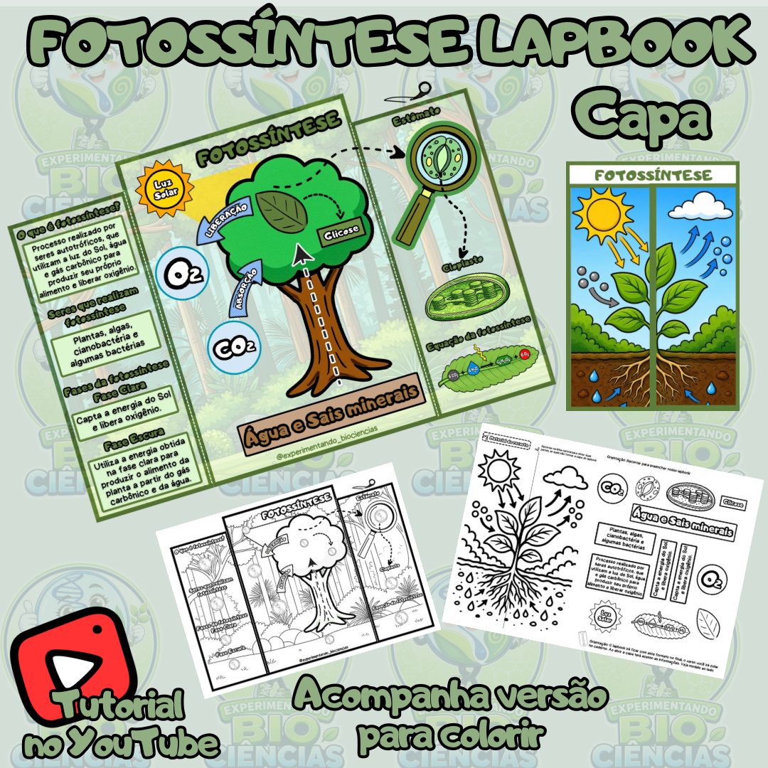 332-Lapbook Fotossíntese