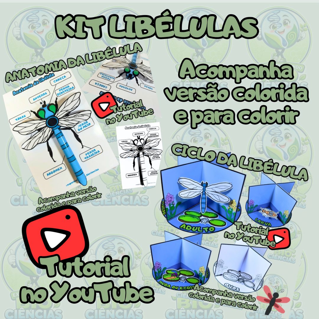 Kit 23: Libélulas 3D