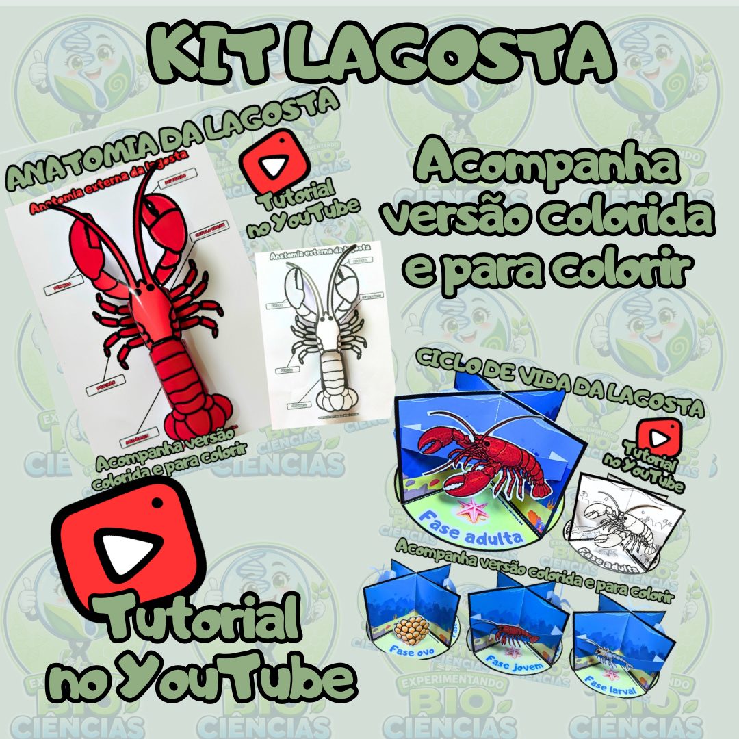 Kit 24: Lagosta 3D
