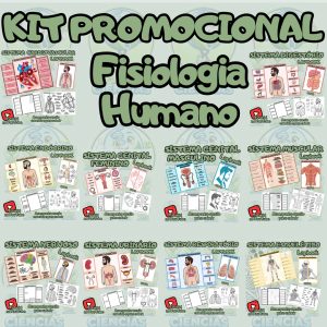 Capas 2026