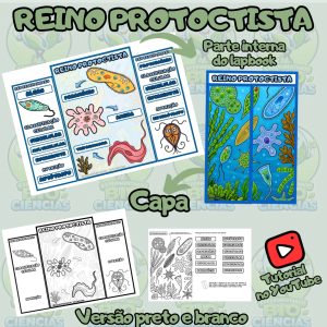 Capas 2026