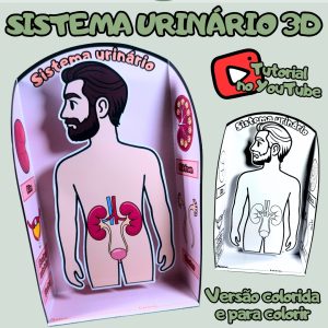 Capas 2026