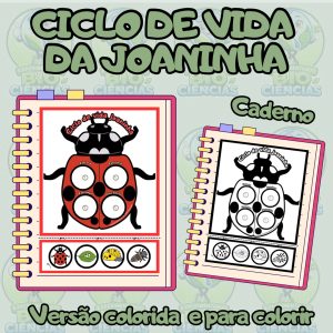 Cópia de Capas 2026
