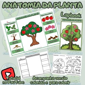 Cópia de Capas 2026