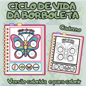 Cópia de Capas 2026 - 14