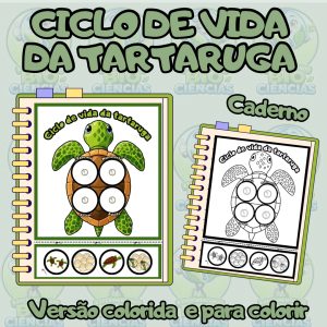 Cópia de Capas 2026 - 58